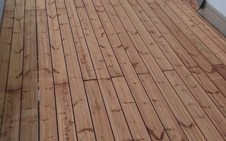 Brown Pine NTR